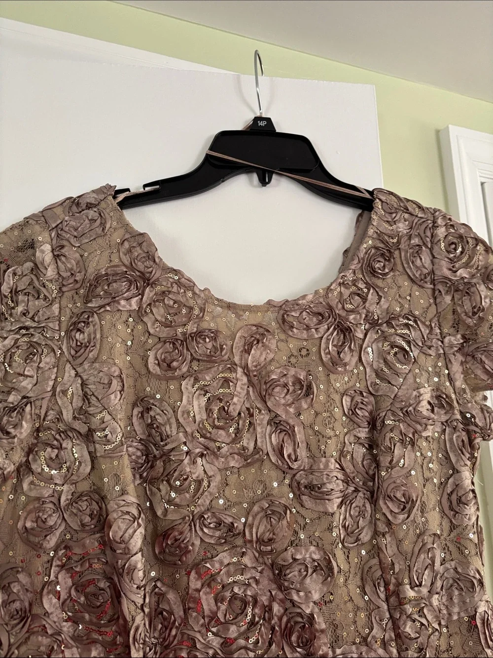 Alex Evenings Taupe Floral Embellished Evening Gown - Picture 3 of 7